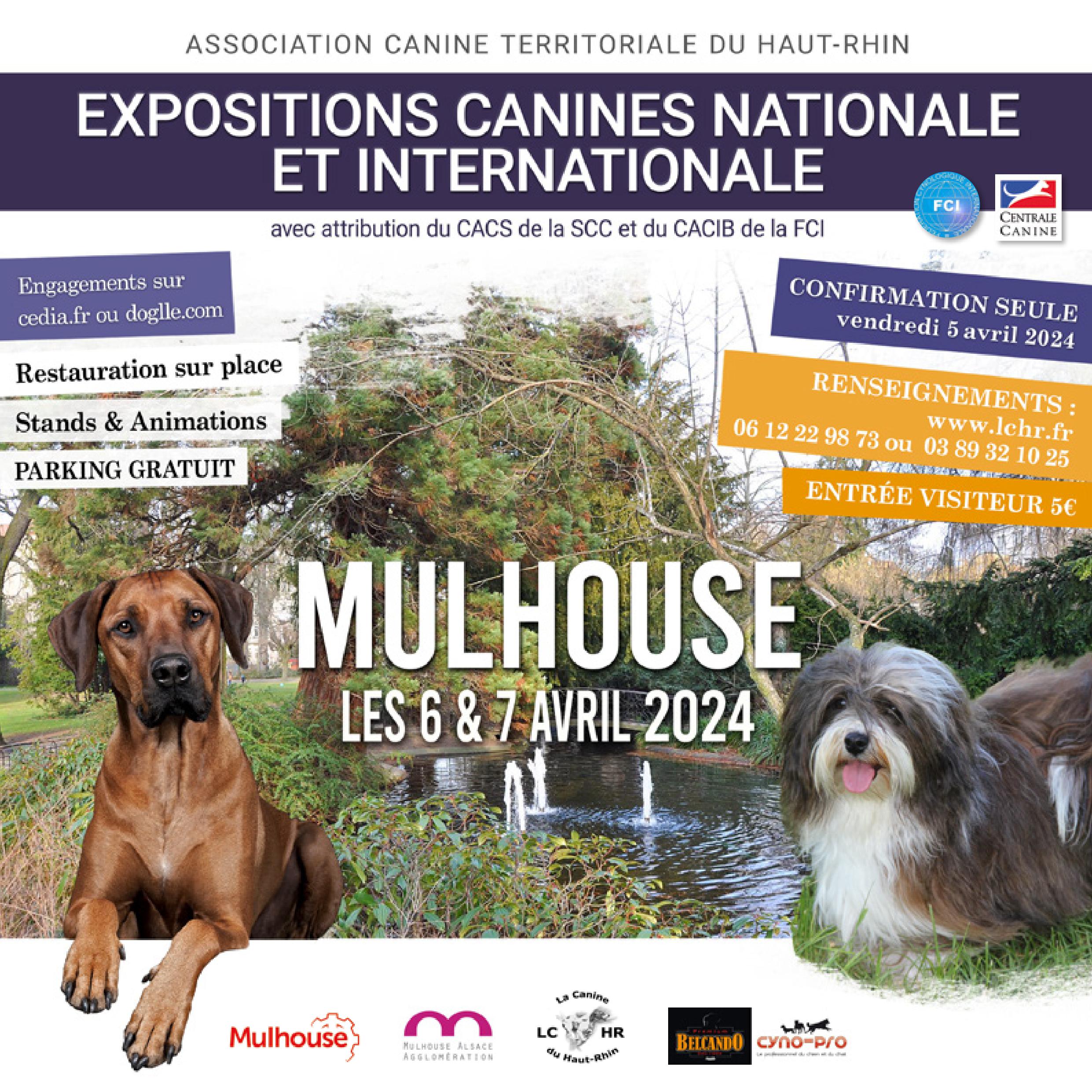 Expositions canines des 6 & 7 avril 2024 Société Centrale Canine
